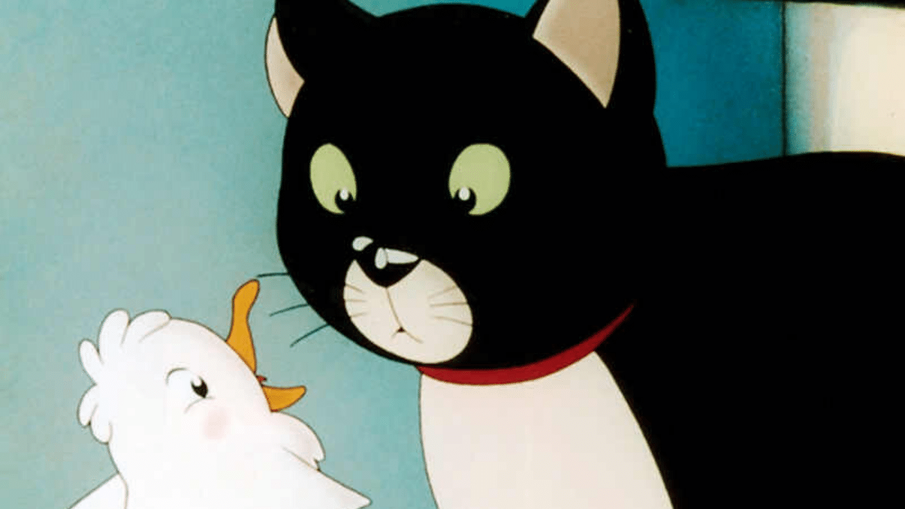 Séances – La Mouette et le Chat