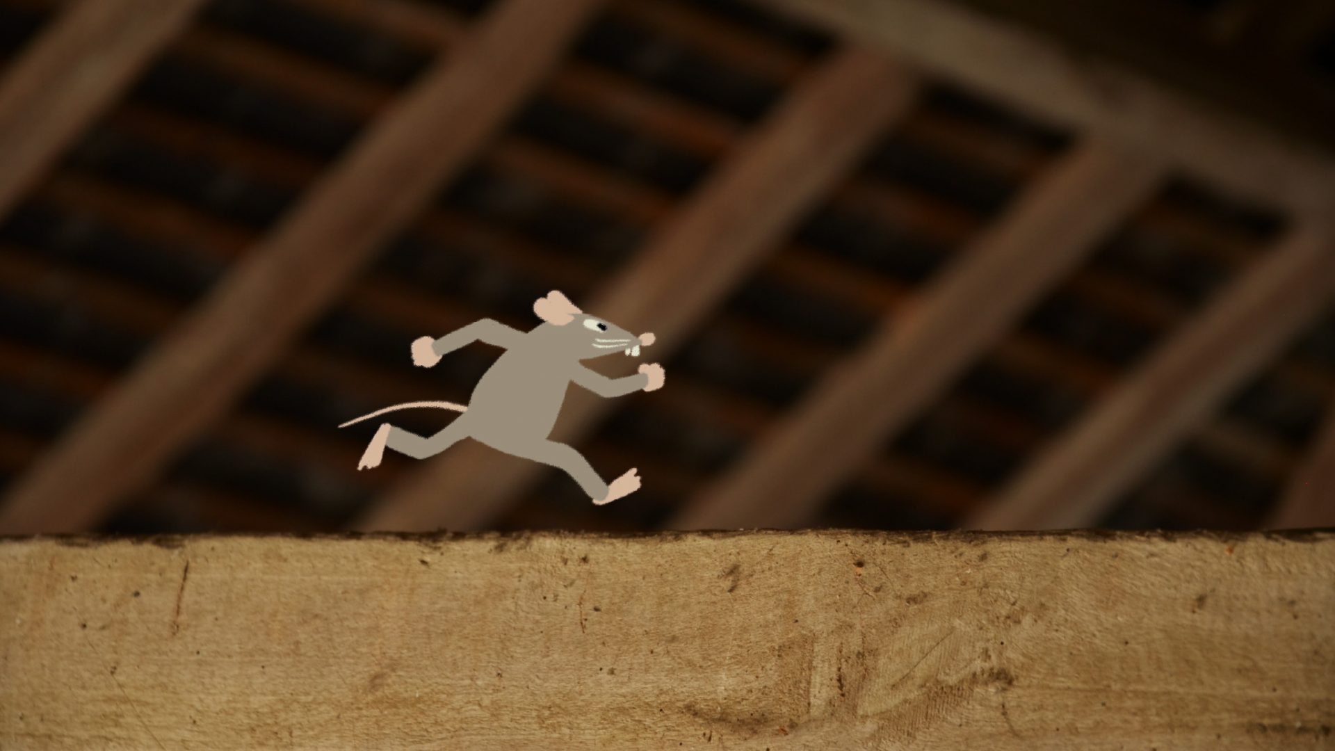 Aussi petits qu’une souris