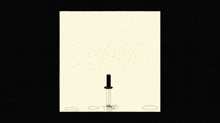 Mise en culture, récolte et dispersion des épines