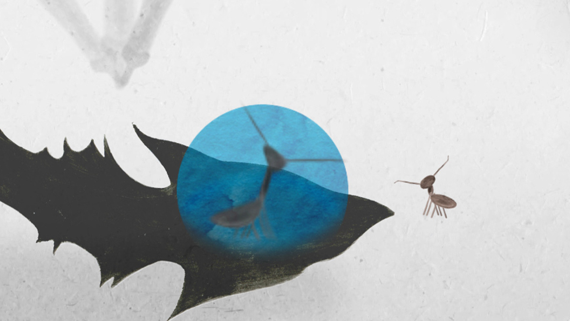 La marche des fourmis